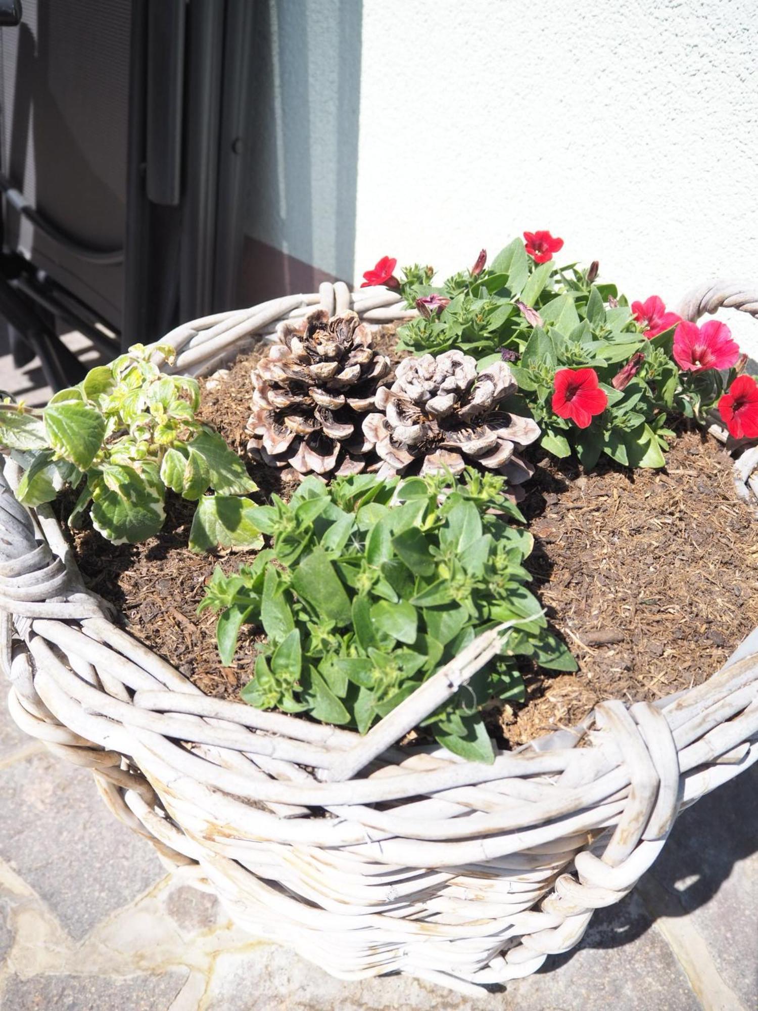 Appartement Felsenheim Westendorf Eksteriør bilde